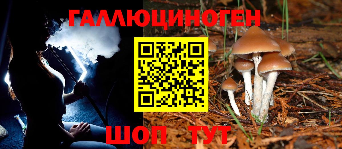 Галлюциногенные грибы мухоморы Симферополь