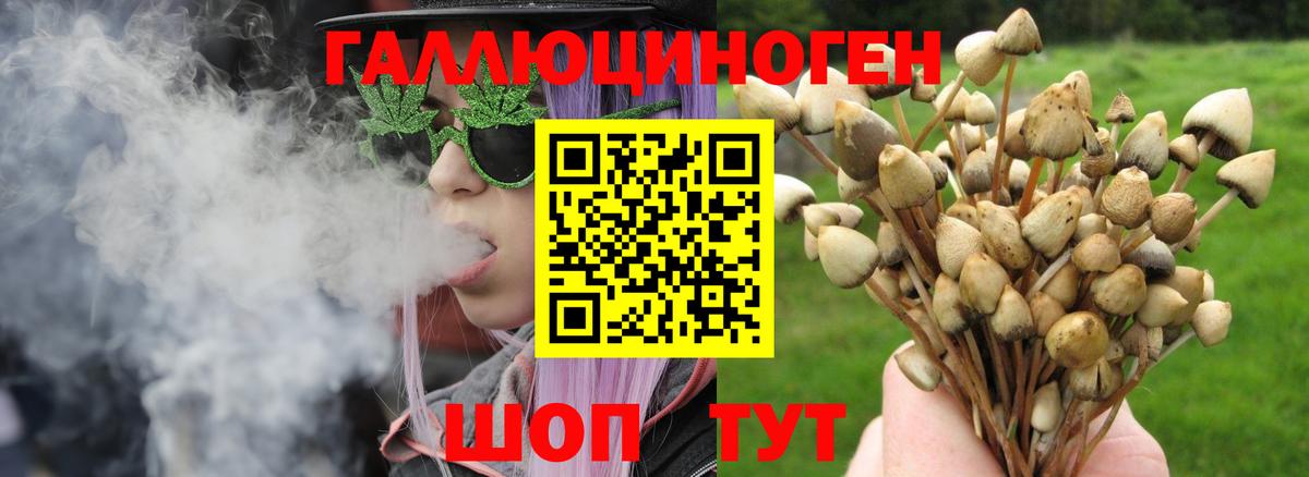 купить закладку  Галлюциногенные грибы Cubensis  Вход с VPN  Симферополь  Псилоцибиновые грибы MAGIC MUSHROOMS 